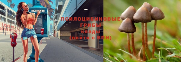 ПСИЛОЦИБИНОВЫЕ ГРИБЫ Пестово