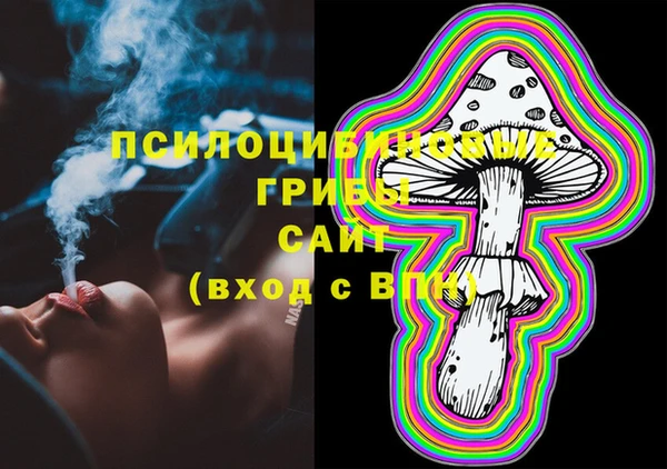 тгк Переславль-Залесский