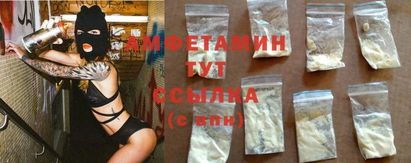 индика Пересвет